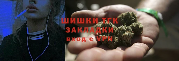 гашик Белокуриха