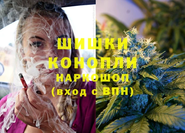 гашик Белокуриха