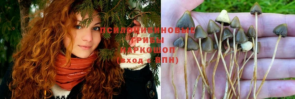 Альфа ПВП Белоозёрский